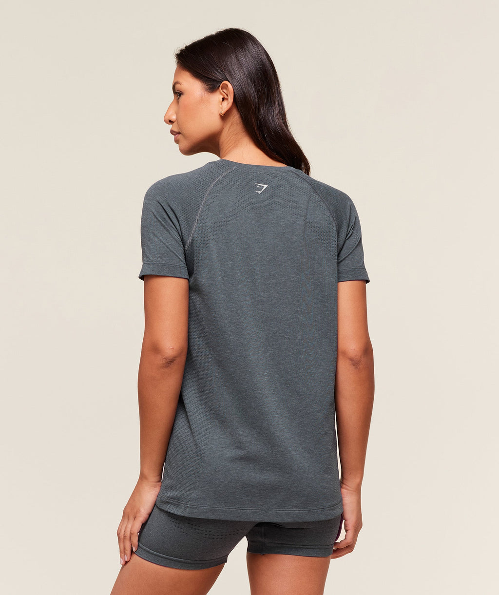 gymshark-vital-seamless-light-t-shirt-strong-grey-marl-aw24
